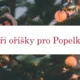 Vánoční kvíz (editovatelný) 4