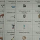Věci kolem nás-čtení s porozuměním 3