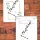 Literature project: Reading activities l The Secret Garden 4