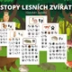 Stopy lesních zvířat 2