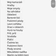 pracovní sešit pro předškoláky 5