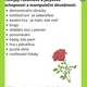 Soubor aktivit  ŠKOLA 2