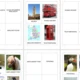 KARTY - flashcards SPOJENÉ KRÁLOVSTVÍ, ANGLIE 4