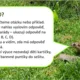 Vyjmenovaná slova B (milionář) 3
