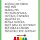Kocour a XYLOFON 2