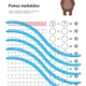 Rozmanité počítání do 10 pro prvňáčky 3