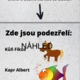 Detektivka:Ztracený páv 2