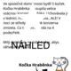 Detektivka:Hledá se ztracená konzerva! 2