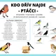 Kdo dřív najde + demonstrační obrázky PTÁČCI 2