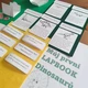 Lapbook - dinosauři 2
