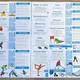 Zimní sporty - Informační karty + Omalovánky 2