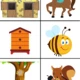 Kde zvířata "bydlí"? 4