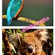 LOTO - počítání do 10 3