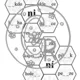 MĚKKÉ SOUHLÁSKY 3