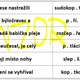 Skládanky - věty na vyjmenovaná slova po P 2