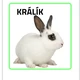 Farma a hospodářství  4