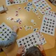 Barevní ptáčci - zrakovka 2