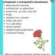 Soubor aktivit  JARO-LÉTO 2