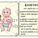 ETAPY LIDSKÉHO ŽIVOTA 2