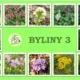 Byliny 3 (milionář) 3