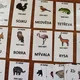 JÁ MÁM, KDO MÁ - zvířata (2) 3