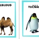 Exotická zvířátka v zoo  4