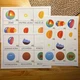 Lapbook STAVBA ZEMĚ 5