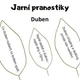 Jarní pranostiky 4