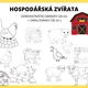 Hospodářská zvířata obrázky a omalovánky 2