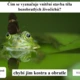 RISKUJ! Živá a neživá příroda 3