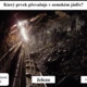 RISKUJ! Život na Zemi 4