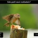 RISKUJ! Život na Zemi 5