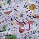 JARO- AKTIVITY 6