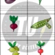 AJ - vegetables (zelenina) - opis, překlad, slovíčka 2