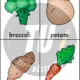 Flashcards - vegetables (zelenina) 3