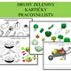 druhy zeleniny 2