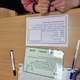 Domácí a hospodářská zvířata 3