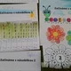 Slunéčko sedmitečné - beruška 8