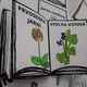 Jarní rostliny - knížečka do sešitu 6