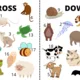 Křížovky na téma ANIMALS 3