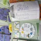 Lapbook - ROK 7