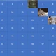 Odkrývací hra - zvířata v lese 2