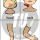 Flashcards - body parts (části těla) 2