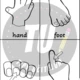 Flashcards - body parts (části těla) 4