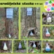 Čarodějnická stezka s příběhem: VÝPRAVA ZA ELIXÍREM MLÁDÍ 5