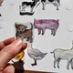 MLÁĎATA - domácí zvířata 5