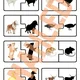 Zvířata na statku & mláďata, stínové puzzle 3