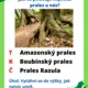 Stezka přírodní památky ČR 4