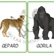 V ZOOLOGICKÉ ZAHRADĚ - demonstrační obrázky 2