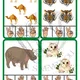 V ZOOLOGICKÉ ZAHRADĚ - kolíčkování 2